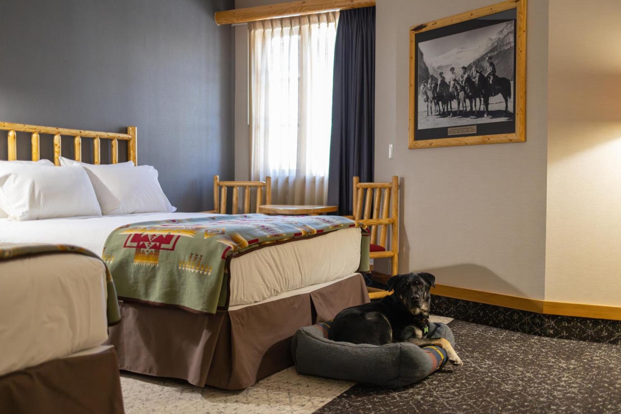 באנף Brewster Mountain Lodge מראה חיצוני תמונה